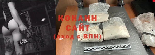 ALPHA PVP Гусев