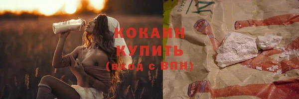 гашик Верея