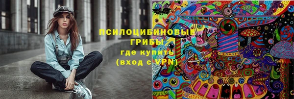 ALPHA PVP Гусев