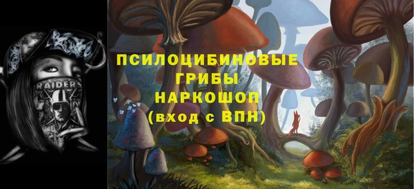 кристаллы Гусиноозёрск
