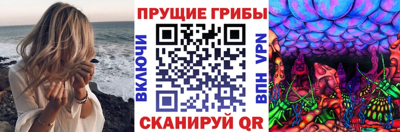 продажа наркотиков  Ермолино  Галлюциногенные грибы Psilocybe 
